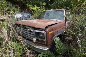 ford truck 1 sm.jpg